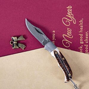 Pocket knife UK Legal, Foldable and Non- Locking Legal to Carry - STF19
