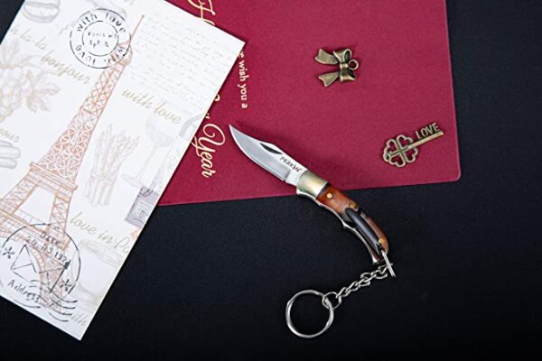 Pocket knife UK Legal, Foldable and Non- Locking Legal to Carry - 1902SM