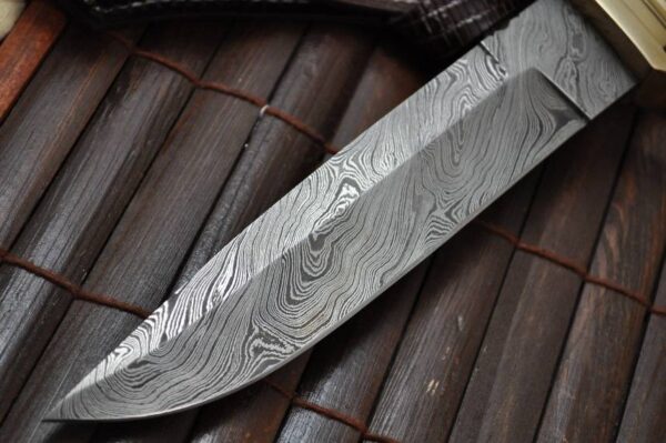 Fixed Blade hunting knife with Sheath Bowie knife - Image 3
