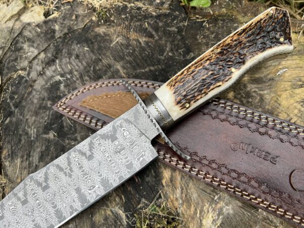 Fixed Blade Hunting Knife Bowie Knife Handmade Stag Antler Handle Unique Pattern One Kind of Handcrafted Hunting Knife - Image 5